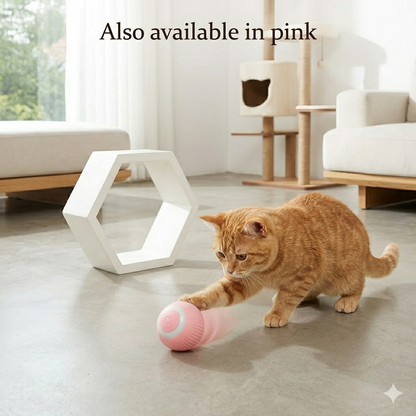 The Pet Lounge™ Smart Roll – The Self-Playing Cat Ball